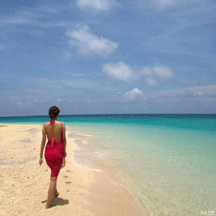 🍖🍖小糖块🍬🍬