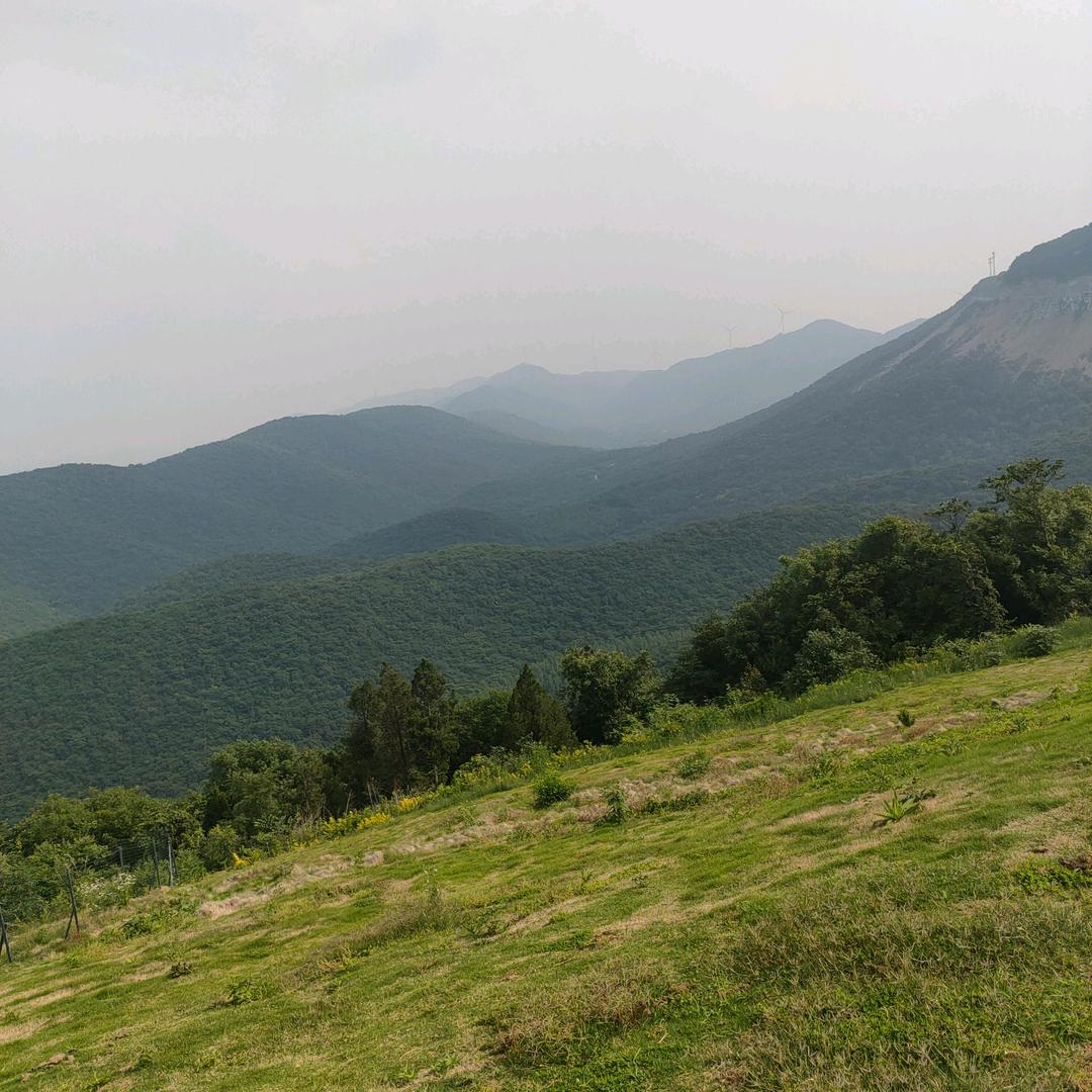 杨氏手撕烤鸭(烤鸭饭)官方号
