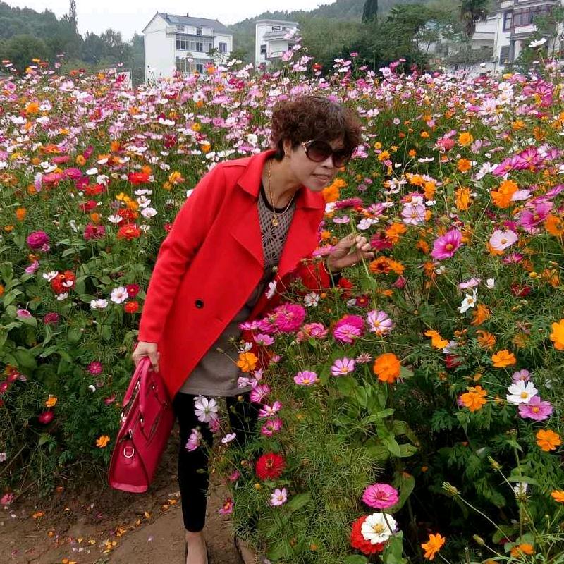 阿莉