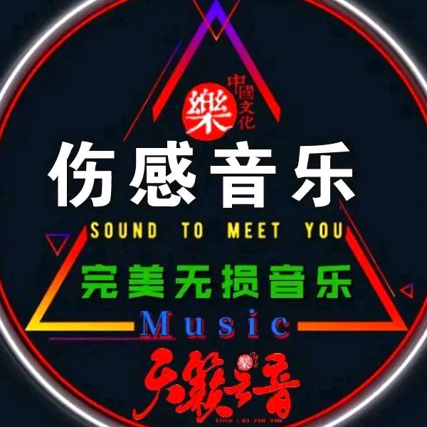 音乐汇🎶伤感音乐大全