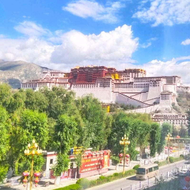 卫辉市桐杨汽车销售有限公司