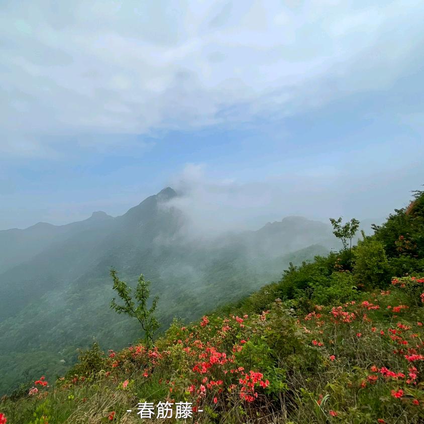 广东小小青鱼垂钓场