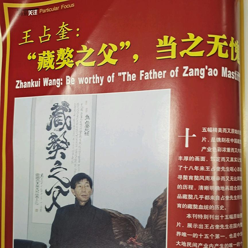 王占奎