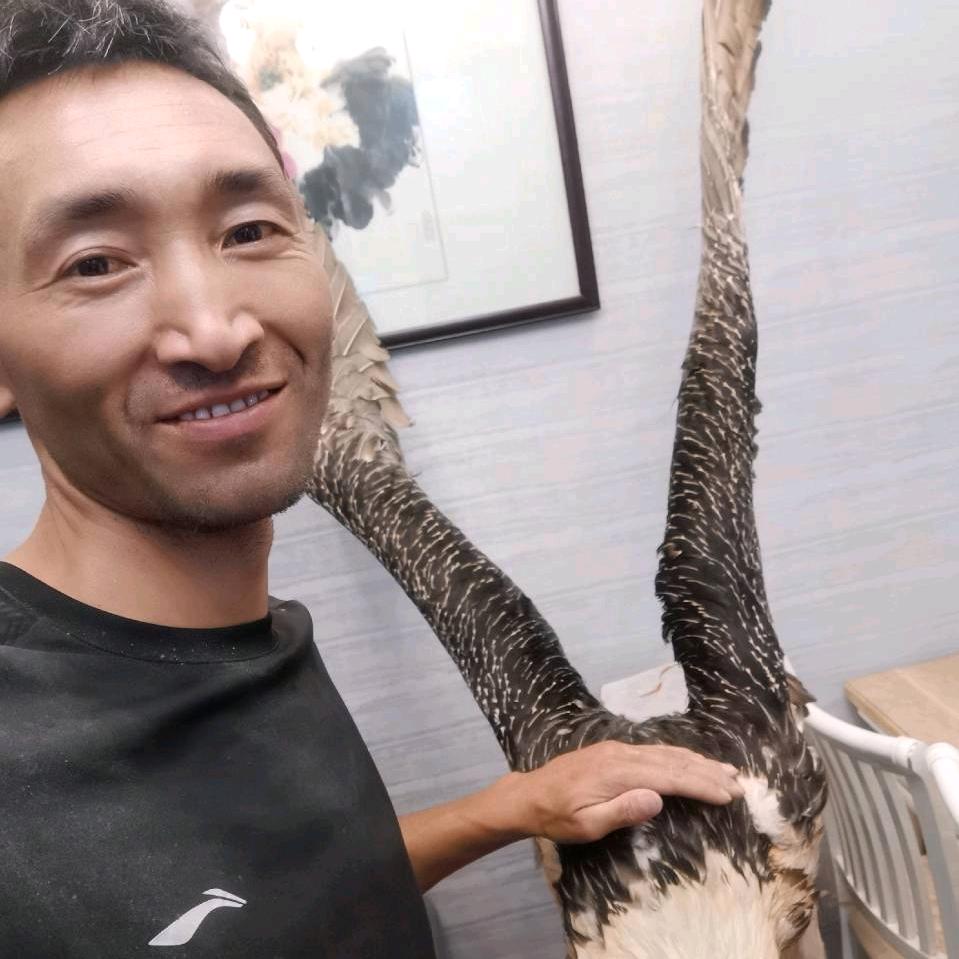 科比