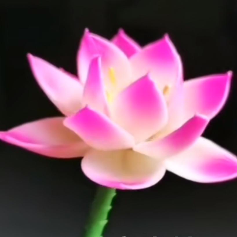 花饽饽