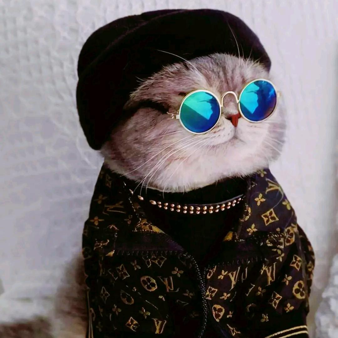 骑猪去看海