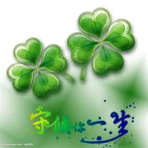 🍀四叶草🍀