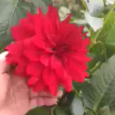 相信明天