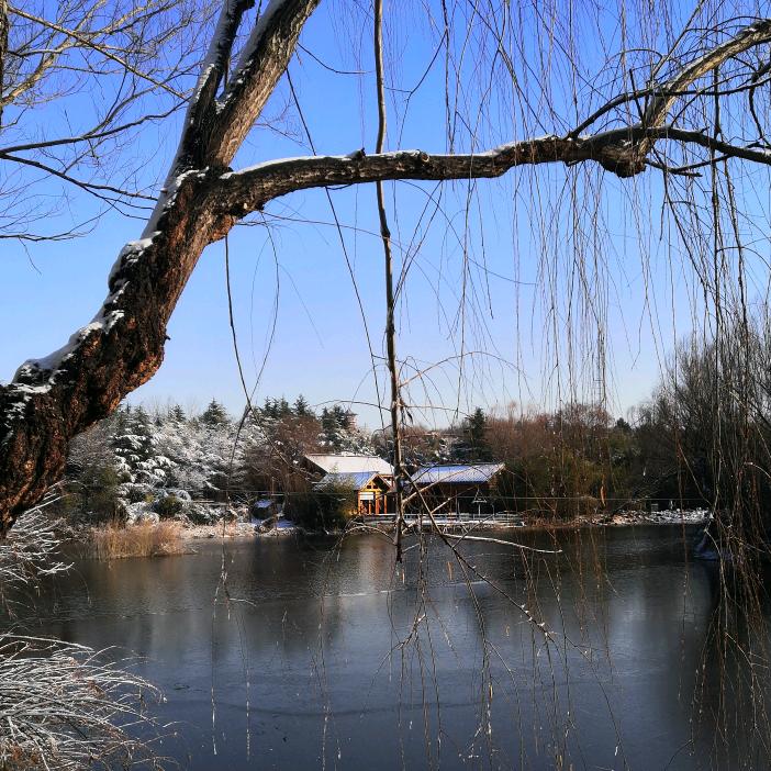 李长高