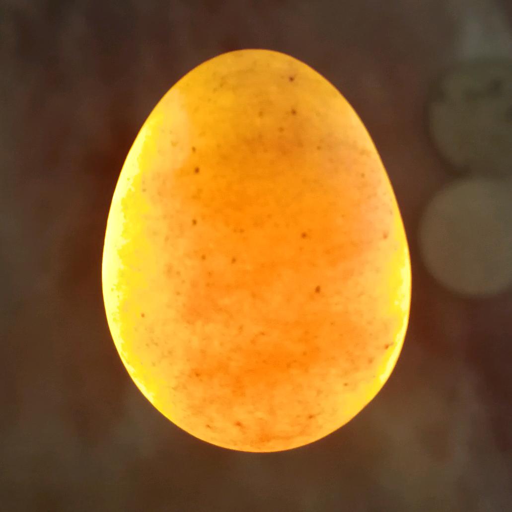 硬挺