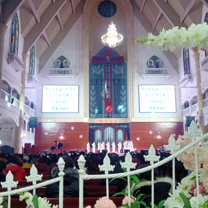 龍行⭐清香水饺（12）