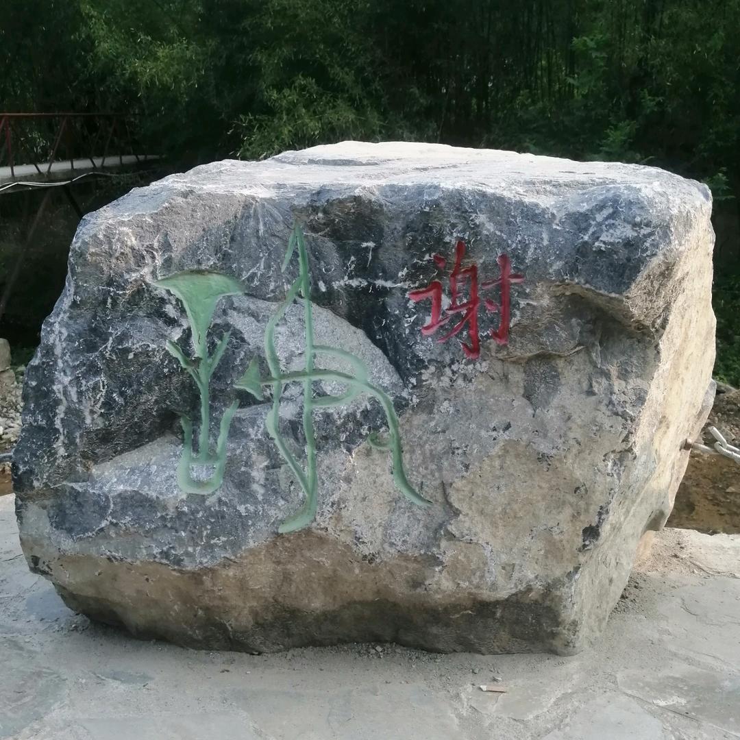 全是锦鲤