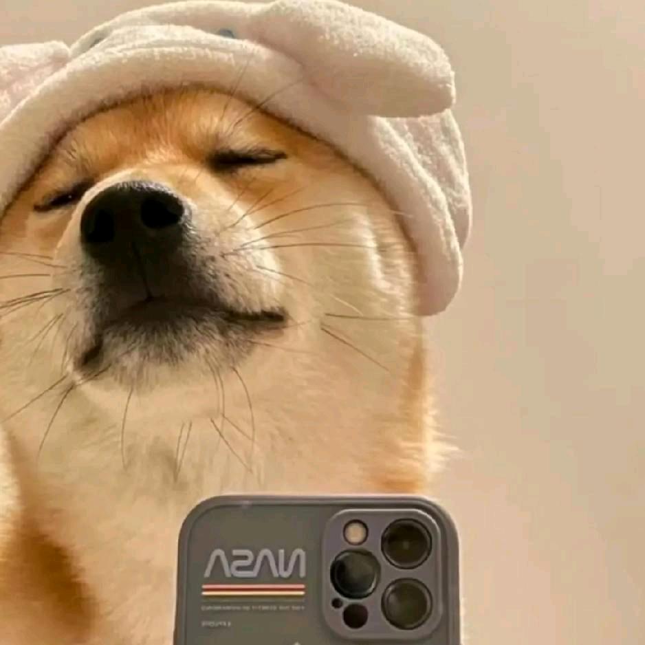 美式哪有上班苦