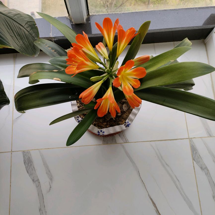 潮汐