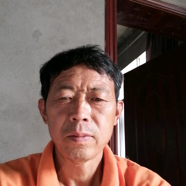 阆中市二龙镇建房老廖
