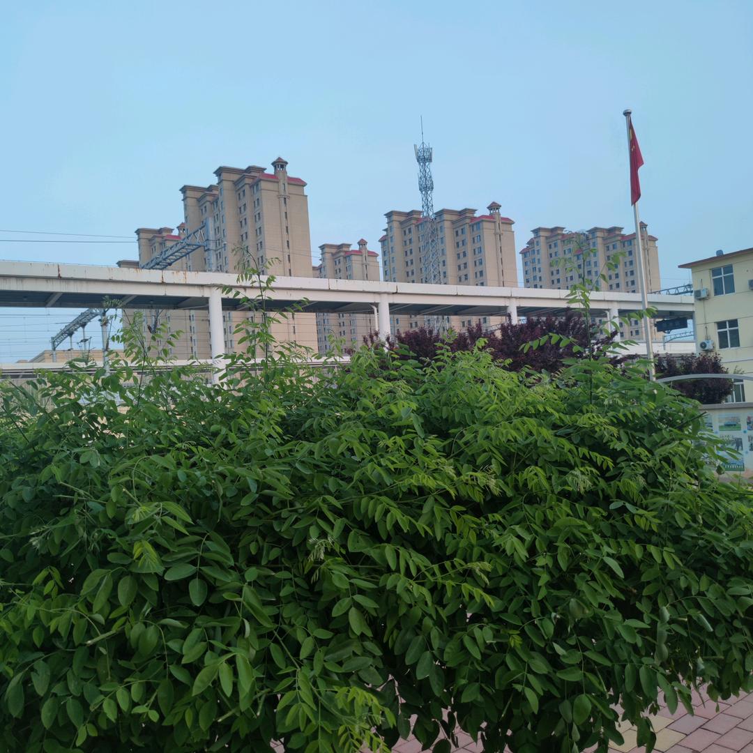 @默默无闻