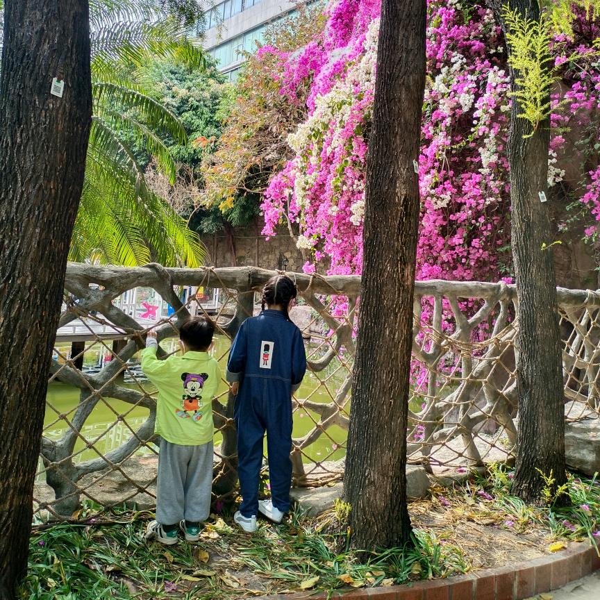 👧👦俩宝