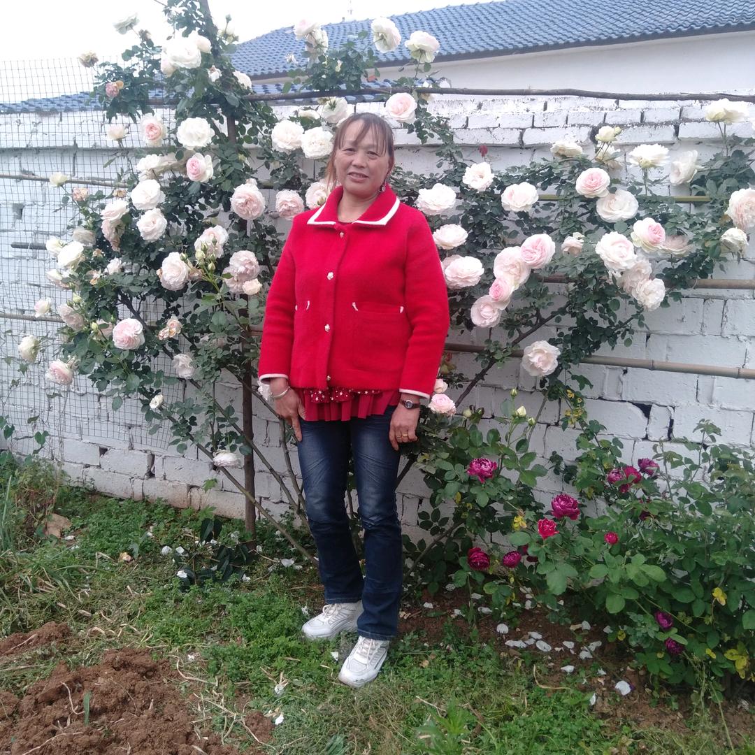 🥀刘连🌿忘返🍓ོ࿐