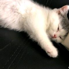 Zzzzz