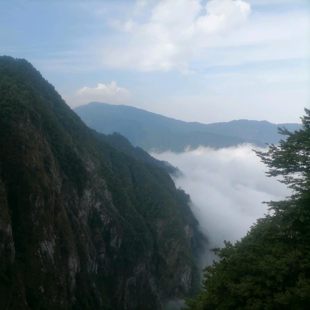 相顾无言