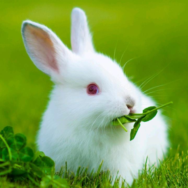 🚴🏻仪表唐唐☀️💞