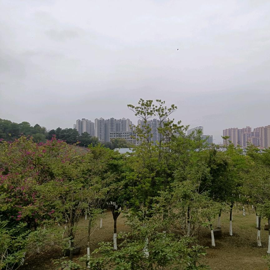 喜怒哀乐