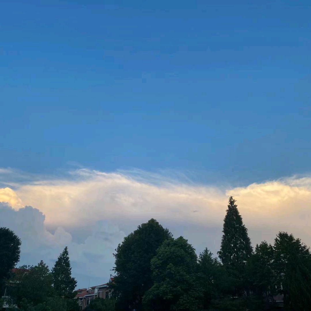 萤火之歌(•́⌄•́๑)૭✧