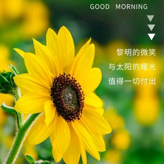 🍎瑛子🌿🌻