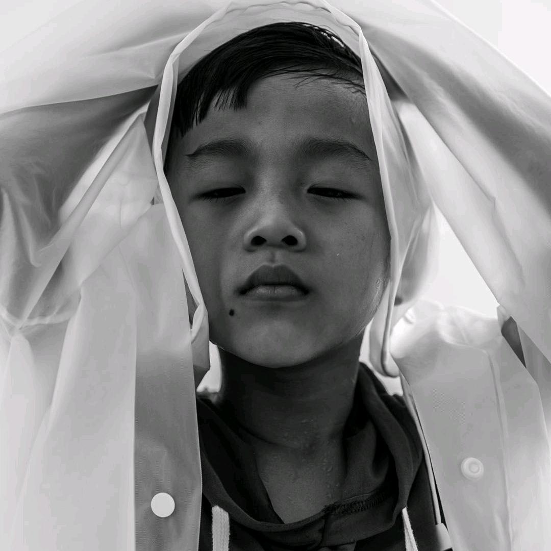 星禹
