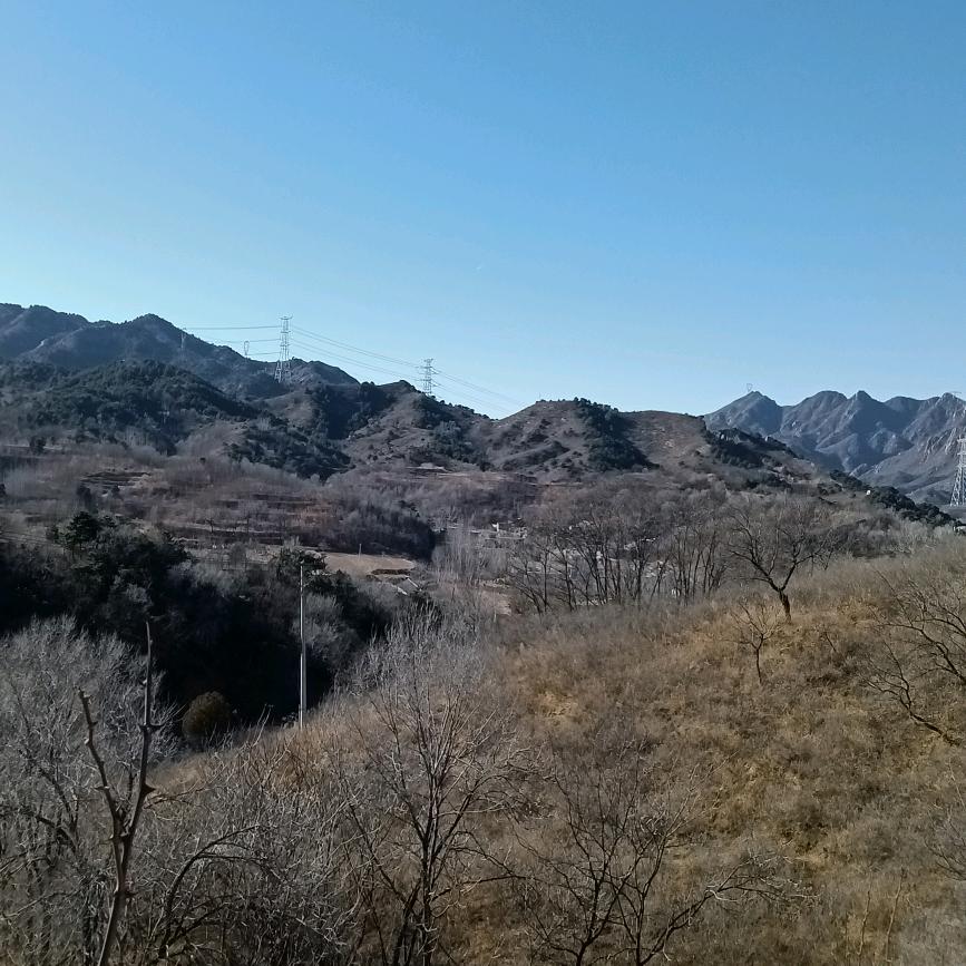 香飘飘