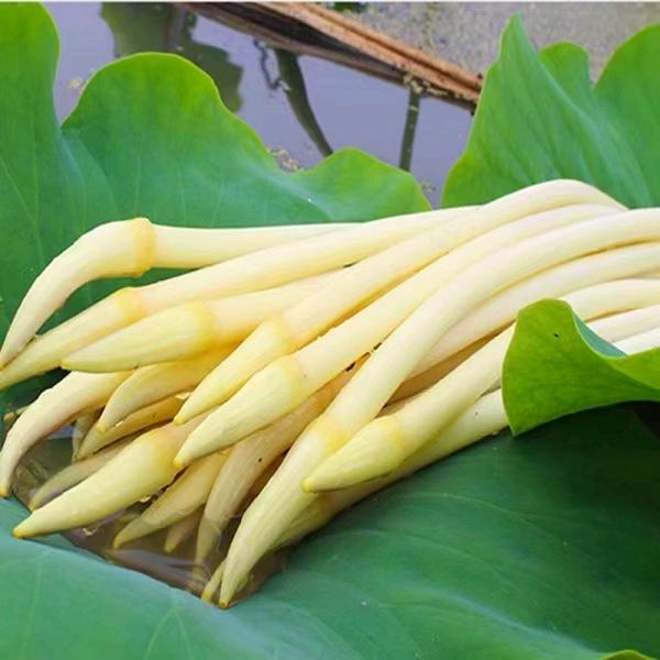 田小胖湖北菜批发（深圳）