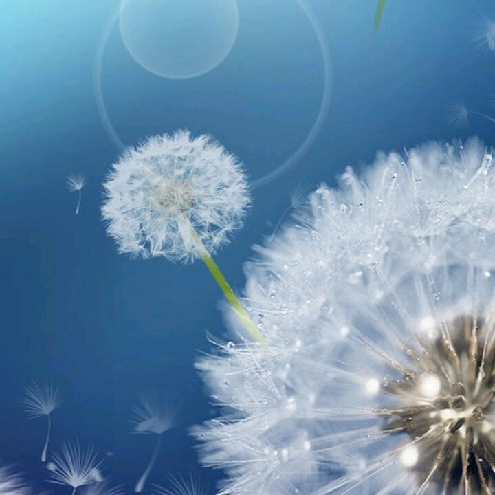 桃花依旧笑春风