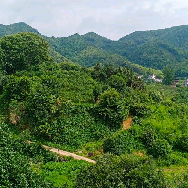 桂林家装梁哥