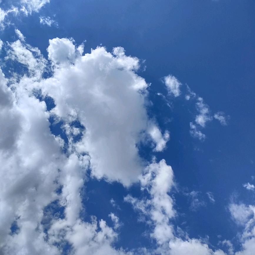 王岩