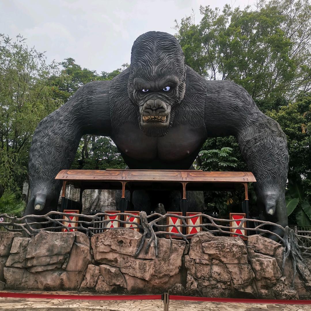 深圳PE胶袋包装制品