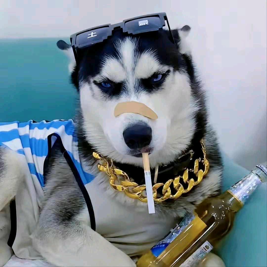 一个达不刘