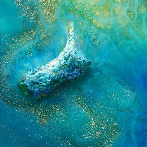 医生医世   海酷石烂