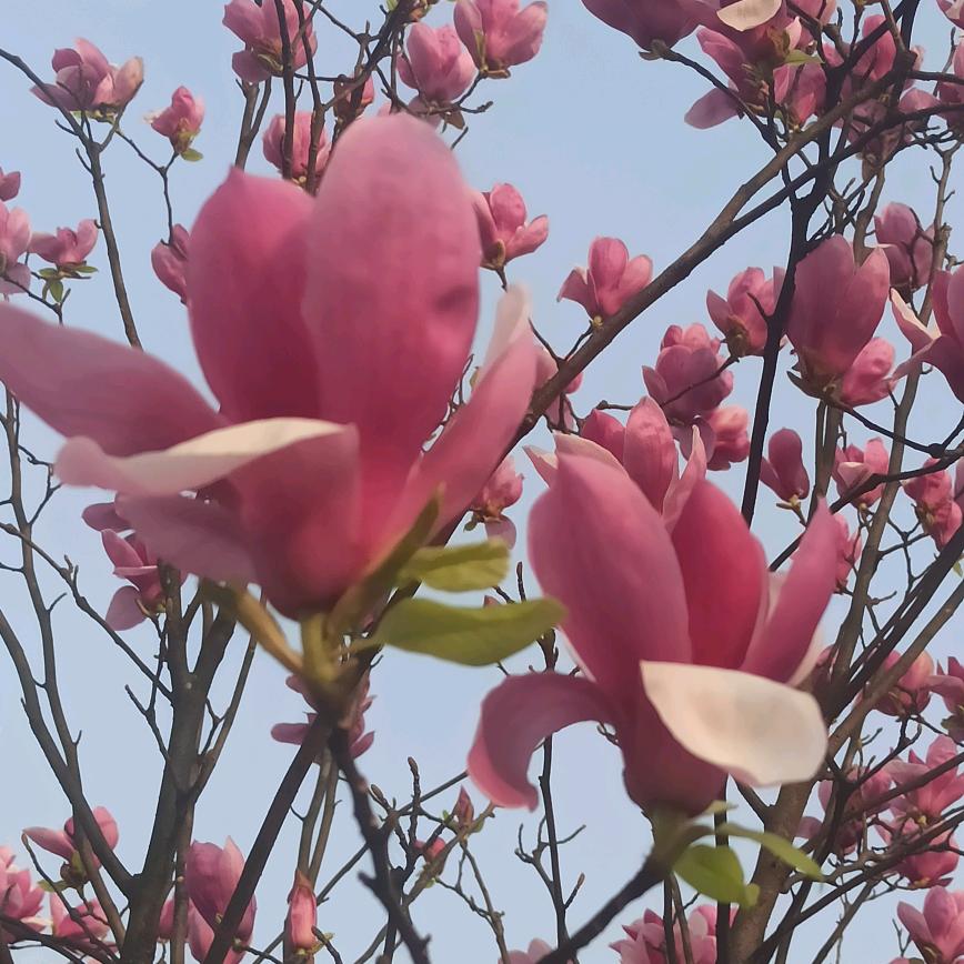 A🐂💫容姐吖吖吖