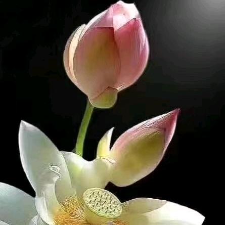 💕᭄ꦿ🈶我ོ࿆知足吧᭄🕊