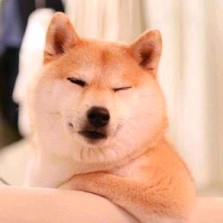 减不下去肥的胖墩墩