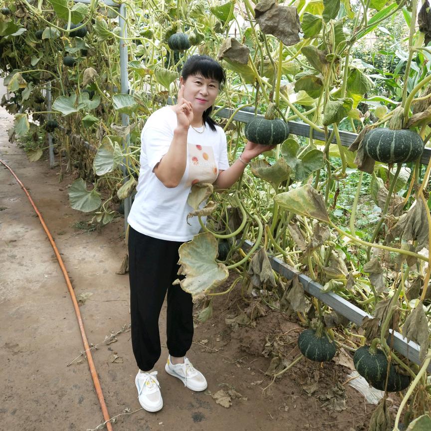 用户620590954新鑫盆艺，