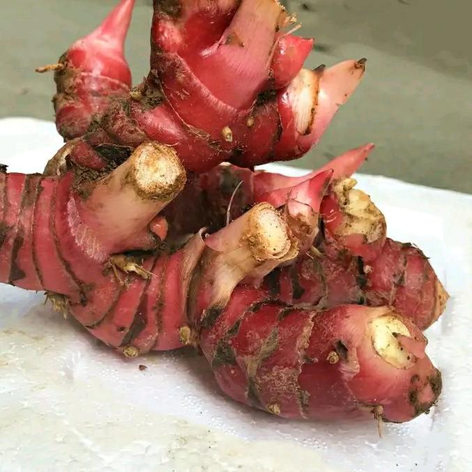 通益土特产