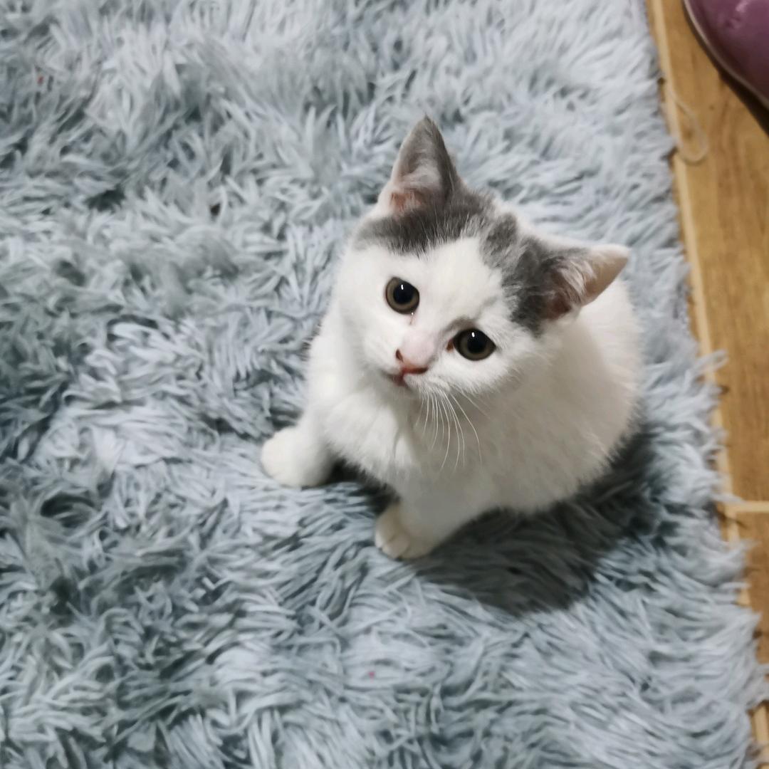 再见来不及握手