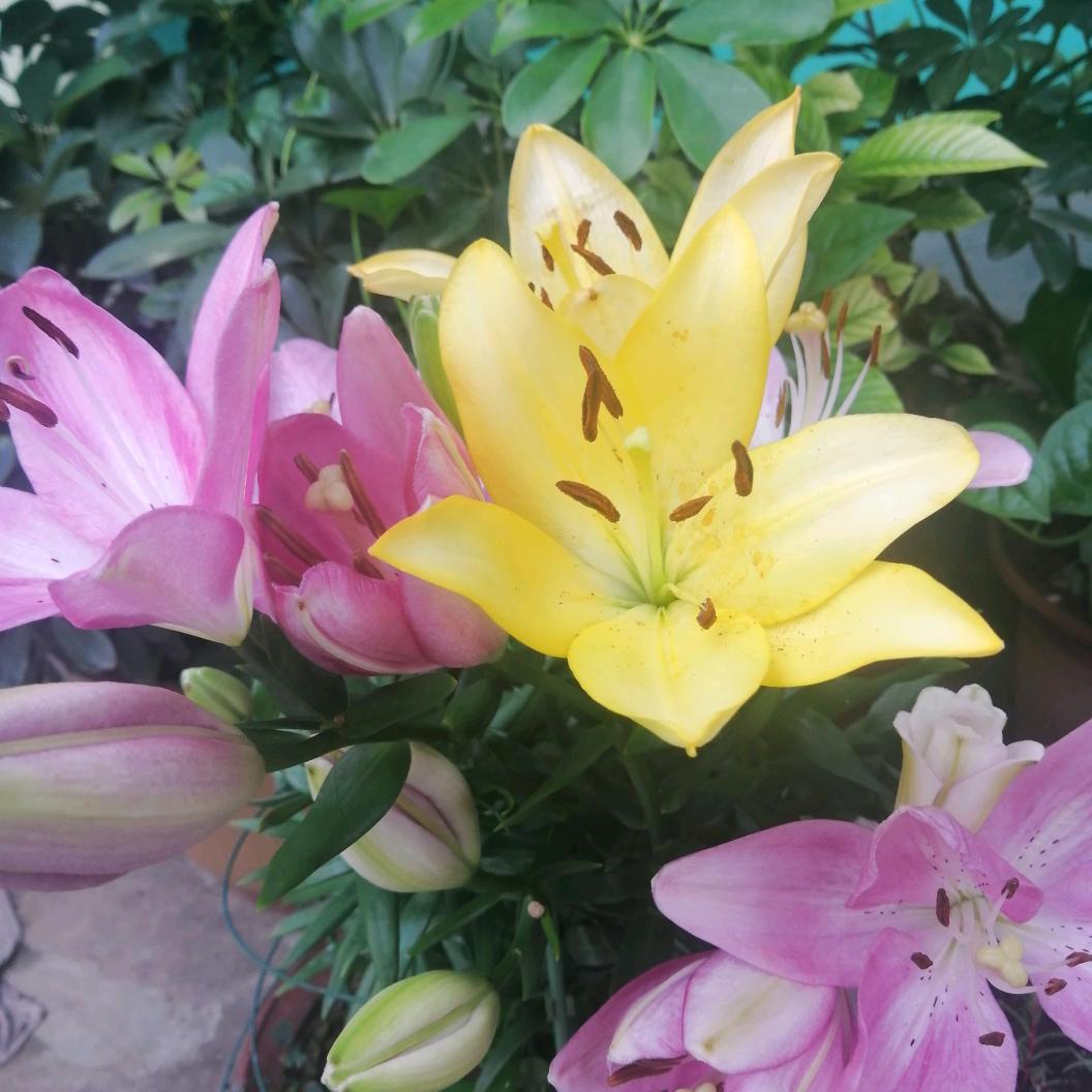 󠀀静待花开