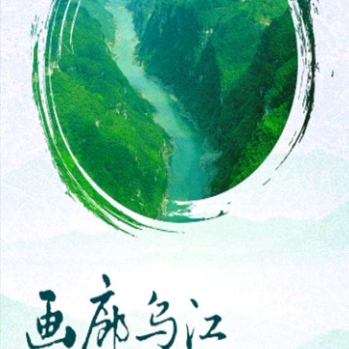 随意的风