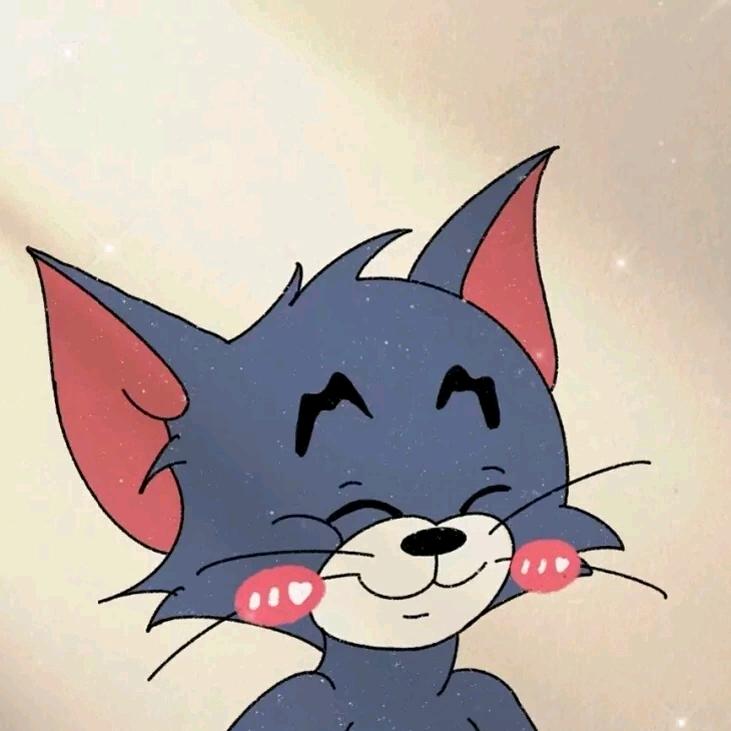 猫先生🐱