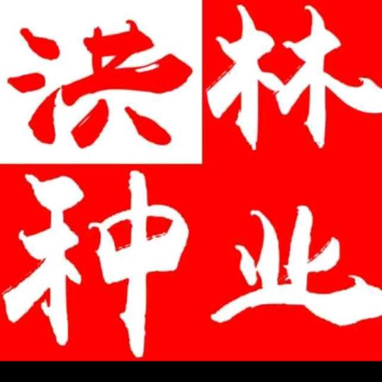 谭哥,洪林种业。