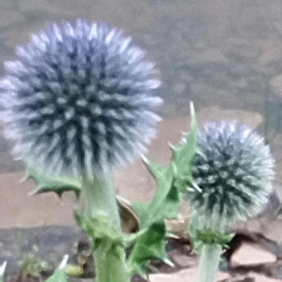 沫忆失忆