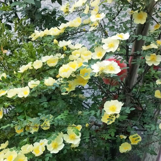 长道阳光建材装饰