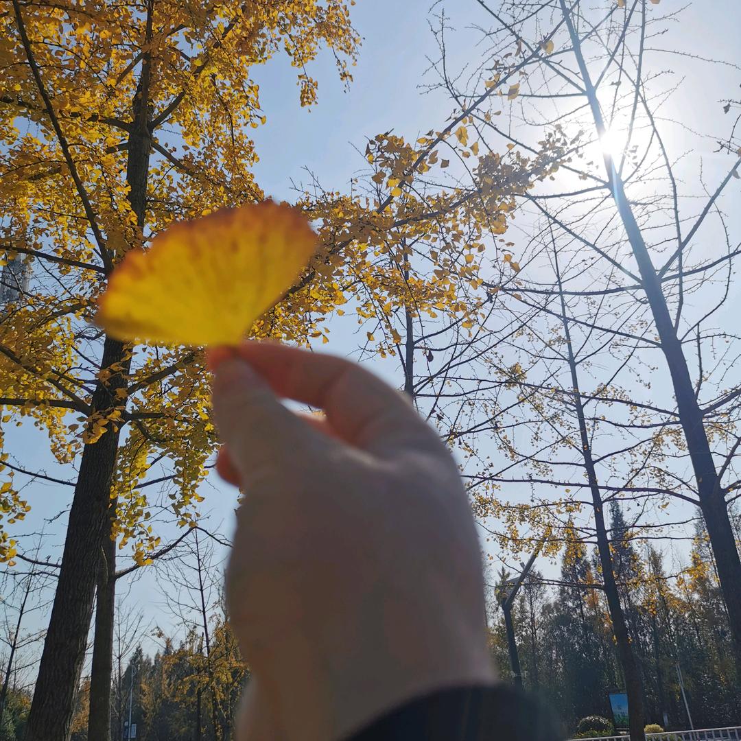 我爰我家